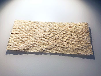 fish skin graft