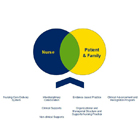 Nurse professional practice model