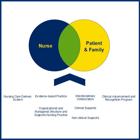 Nurse professional practice model