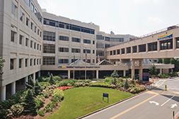 Tbd Lorem ipsom dolar