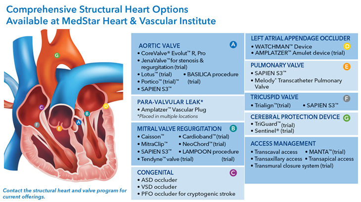 3d illustration of heart